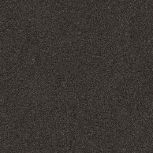 Darling Cove 92 Black Trend